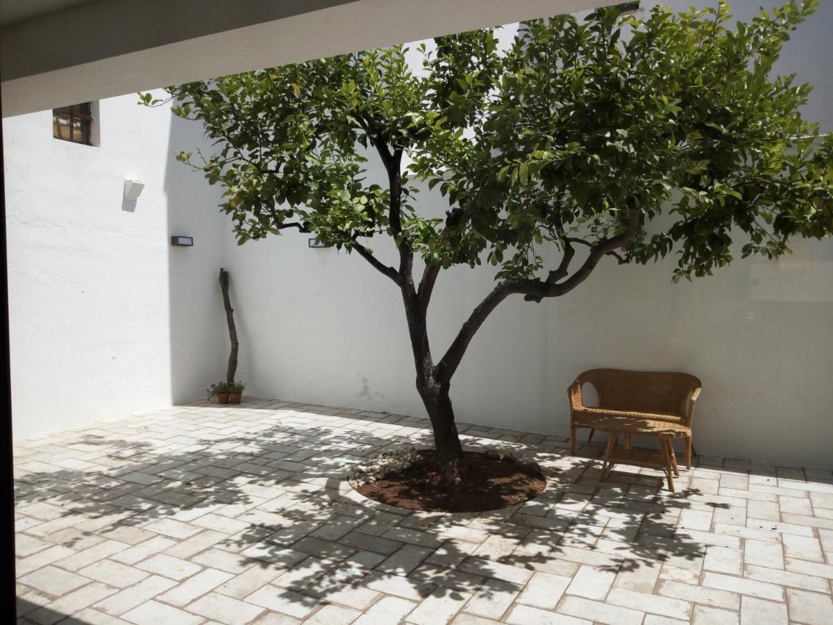 Bed and Breakfast Cortile Calinea Castrignano del Capo Exteriér fotografie